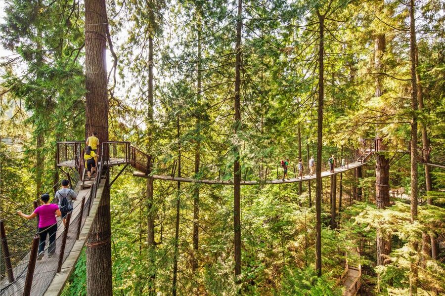 Vancouver: Capilano Suspension Bridge Park Ticket - Timing in real life: how long to spend and where to eat