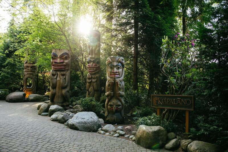 Vancouver: Capilano Suspension Bridge Park Ticket - Safety, comfort, and accessibility limits you should know before you go