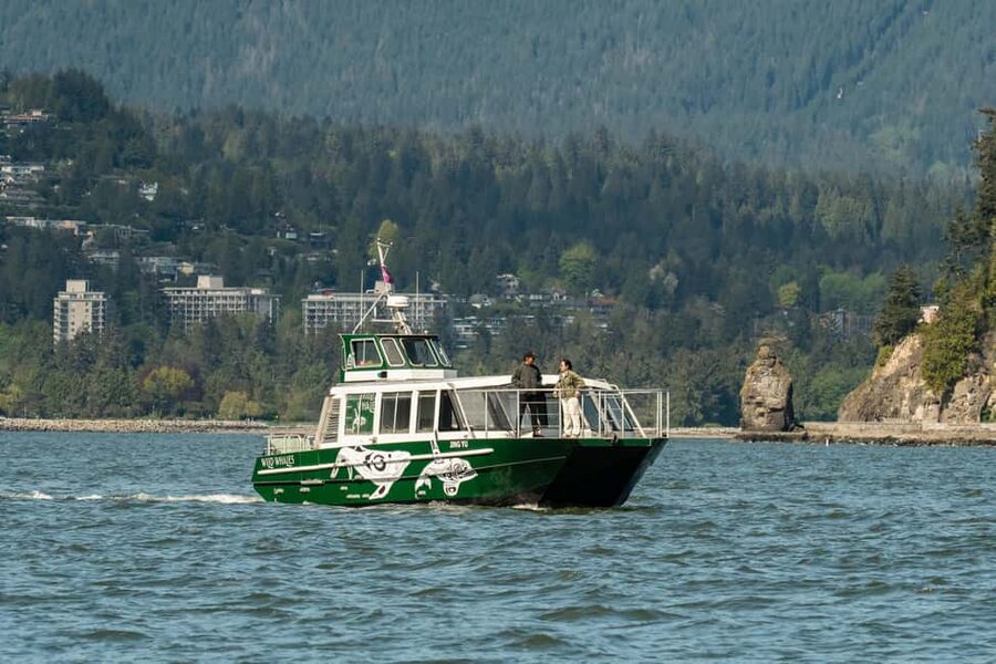 Vancouver: Catamaran Whale Watching Tour, Granville Island - Key things you should know before you book