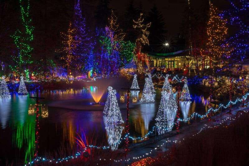 Vancouver Christmas Lights Karaoke Trolley Tour - VanDusen Botanical Garden: Your One Big Hour of Twinkling