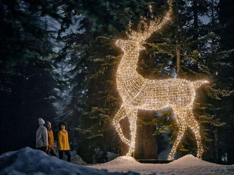 Vancouver Christmas Lights Karaoke Trolley Tour - Lights of Hope at St. Paul’s Hospital: Downtown Sparkle With Purpose