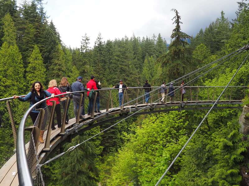 Vancouver City and Capilano Park Private Tour - Key highlights you will actually feel during the day