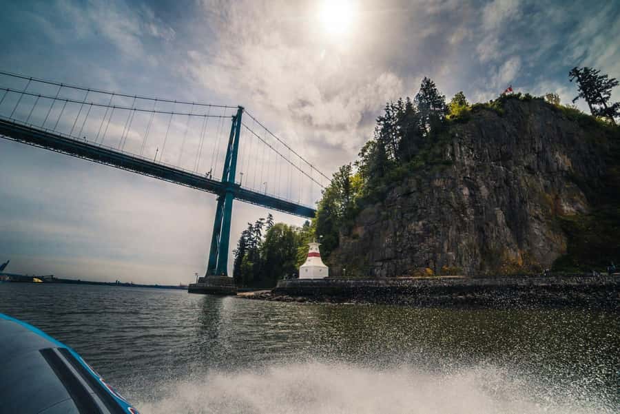 Vancouver: City and Seal Boat Tour - Price, timing, and how $71 turns into value