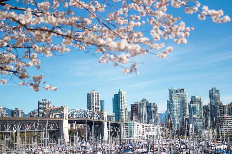 Vancouver: City & Granville Island Sightseeing Trolley Tour - Stanley Park at Brockton Point: totem poles and a short walk break