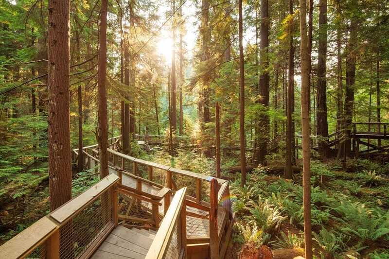 Vancouver: City Highlights Bus Tour - Canada Place and Stanley Park: waterfront landmarks and ocean-air time