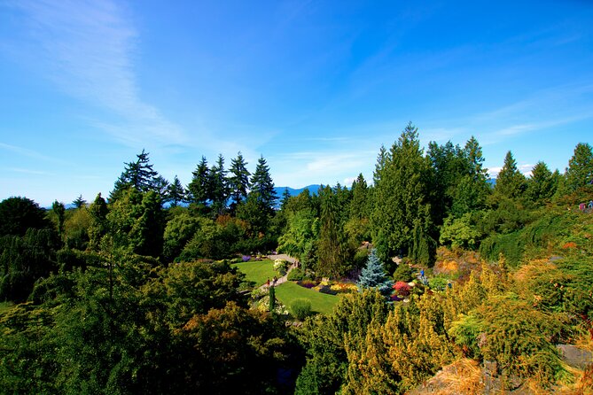 Vancouver City Highlights - Private Tour up to 14 guests - Stanley Park Totem Poles and Prospect Point Views