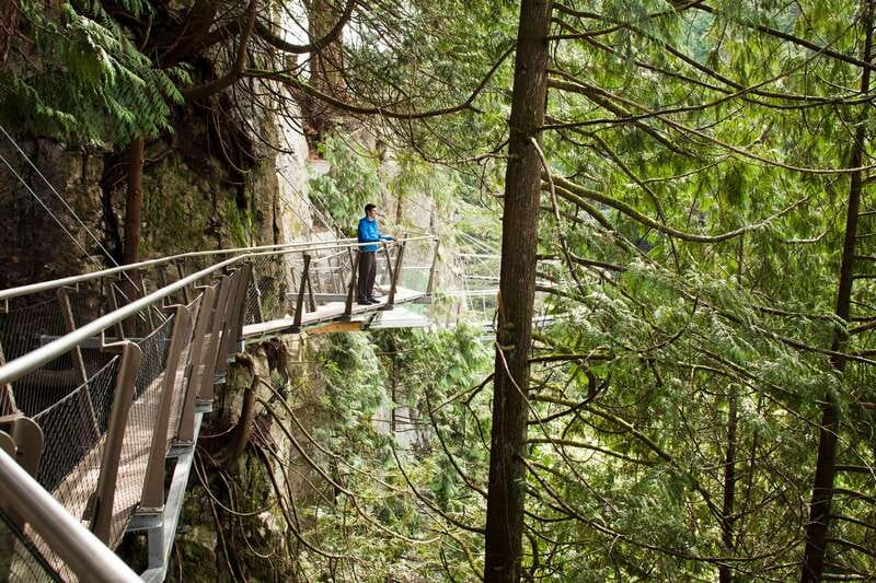 Vancouver: City+Lookout+Capilano Suspension Bridge Ticket - Stanley Park Totem Poles: Quick Orientation, Not a Long Stroll