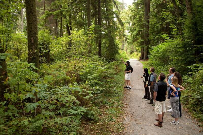 Vancouver: City + Lookout Tour & Option to Add YVR Drop-Off - Vancouver Lookout: the 553-foot payoff for skyline, ocean, and mountains