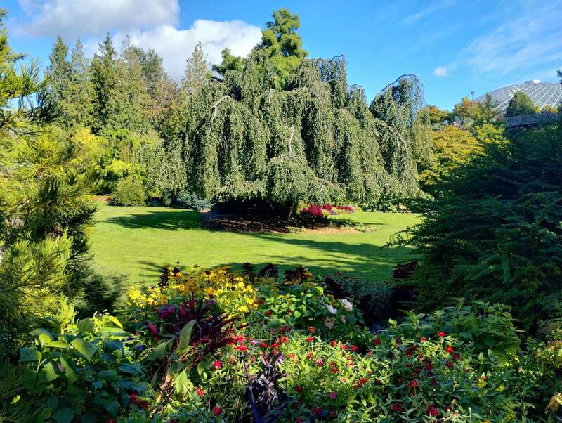 Vancouver City Tour: The Only Full Small-Group Car Tour - Why this small-group car tour beats the big-bus version