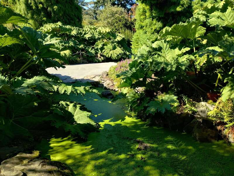 Vancouver City Tour: The Only Full Small-Group Car Tour - Queen Elizabeth Park: the high-ground panorama with real time to enjoy it