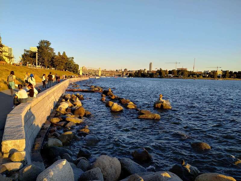 Vancouver City Tour: The Only Full Small-Group Car Tour - Price and what you’re really paying for at $204 per person