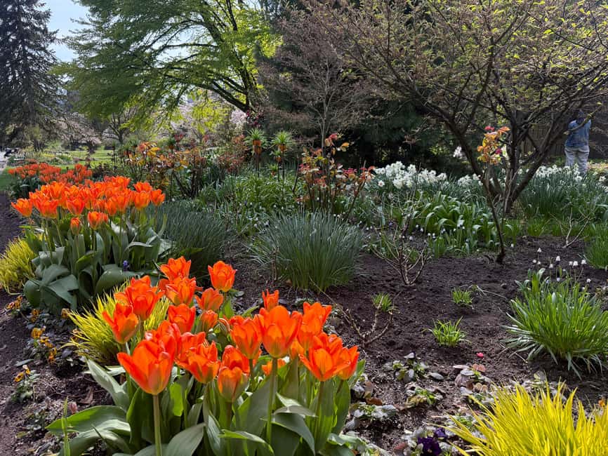 Vancouver City Tour+VipCar+Stanley Park+ChinaTown/SmallGroup - Key things to know before you go