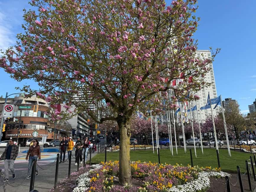 Vancouver City Tour+VipCar+Stanley Park+ChinaTown/SmallGroup - Downtown landmarks: BC Place, Olympic Cauldron, and Vancouver Lookout
