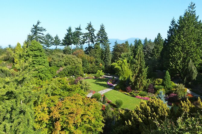 Vancouver City Tour with Admission to Lookout Tower - English Bay, West End, False Creek, and a careful look at Gastown