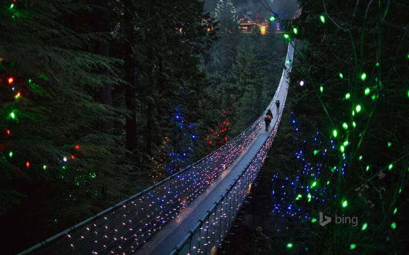 Vancouver: City Tour with Capilano Suspension Bridge - Pickup, Timing, and How the Day Actually Flows