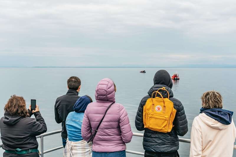 Vancouver: Covered Whale Watching Adventure with Free Photos - Who this whale watching tour fits best