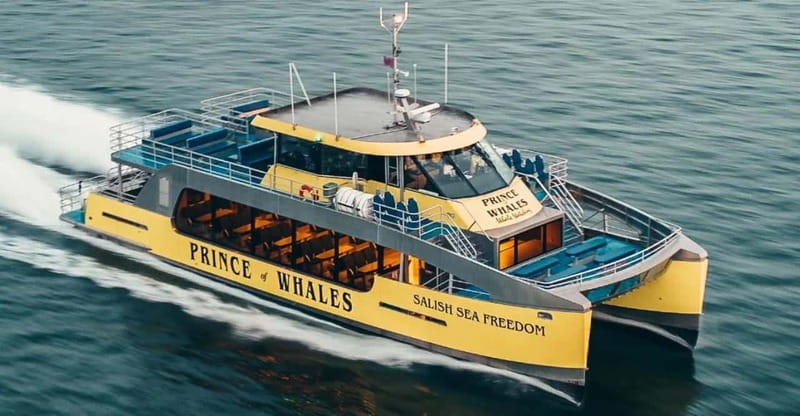 Vancouver: Covered Whale Watching Adventure with Free Photos - Naturalist guides and kids-friendly details that do not feel like babysitting