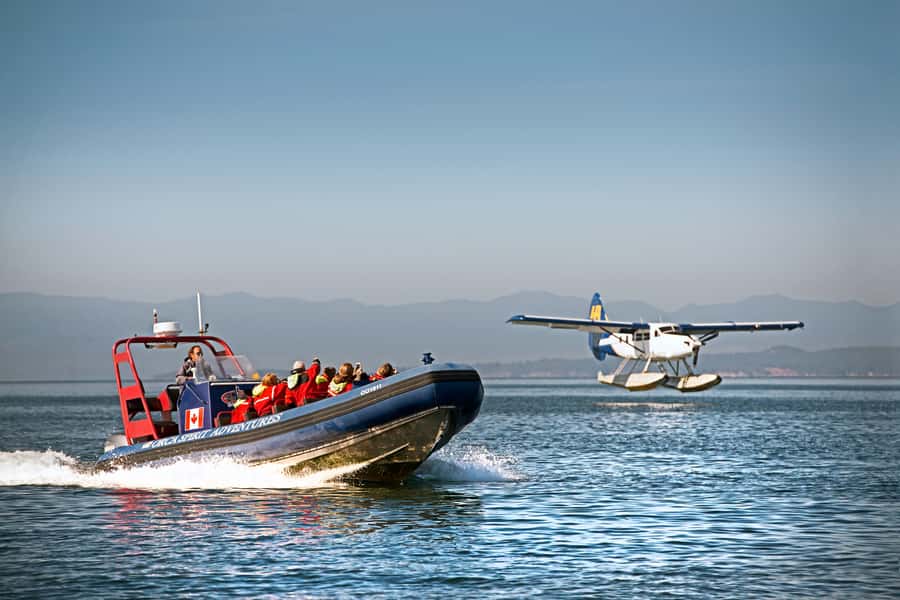 Vancouver: Day Trip to Victoria Seaplane with Whale Watching - Key things that make this day trip click