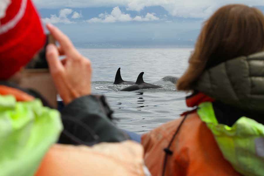Vancouver: Day Trip to Victoria Seaplane with Whale Watching - FAQ