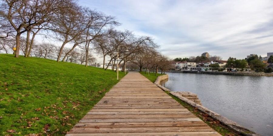 Vancouver: Granville Island Small Group Food Walking Tour - Ron Basford Park and the False Creek Panoramas
