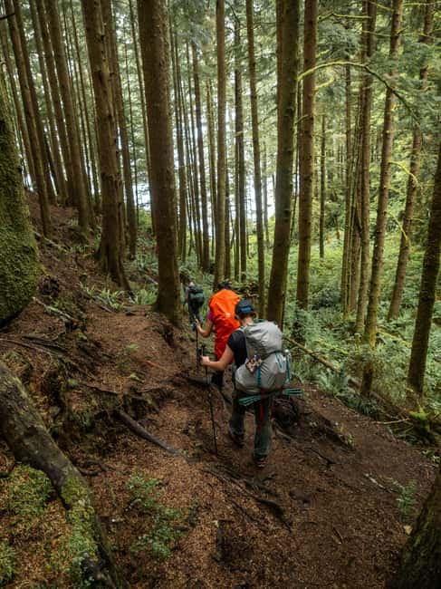 Vancouver: Guided Hiking Highlights at Grouse & Lynn Canyon - A Mountain-and-Canyon Day Built for Real Views