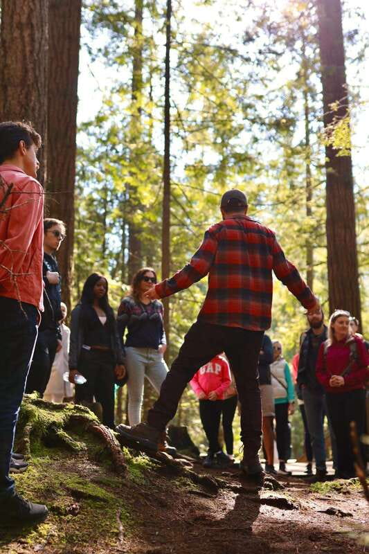 Vancouver: Guided Hiking Highlights at Grouse & Lynn Canyon - Grouse Mountain Attractions and the Included Gondola Down