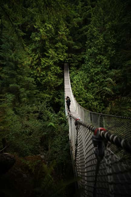Vancouver: Guided Hiking Highlights at Grouse & Lynn Canyon - Stanley Park and Lion’s Gate Bridge, Quick Stops That Set Context