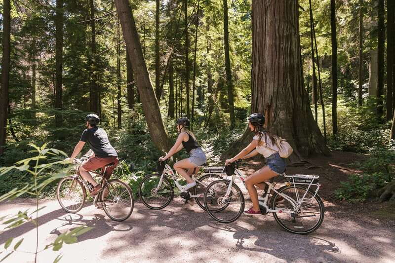 Vancouver: Half-Day City Highlights E-Bike Tour Age 16+ - The bike setup, the car-free focus, and how the pace stays friendly