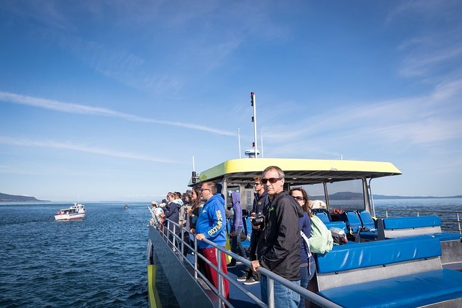 Vancouver Half-Day Whale Watching Adventure with Free Photos - Value check: is $193.58 worth it for a half day?