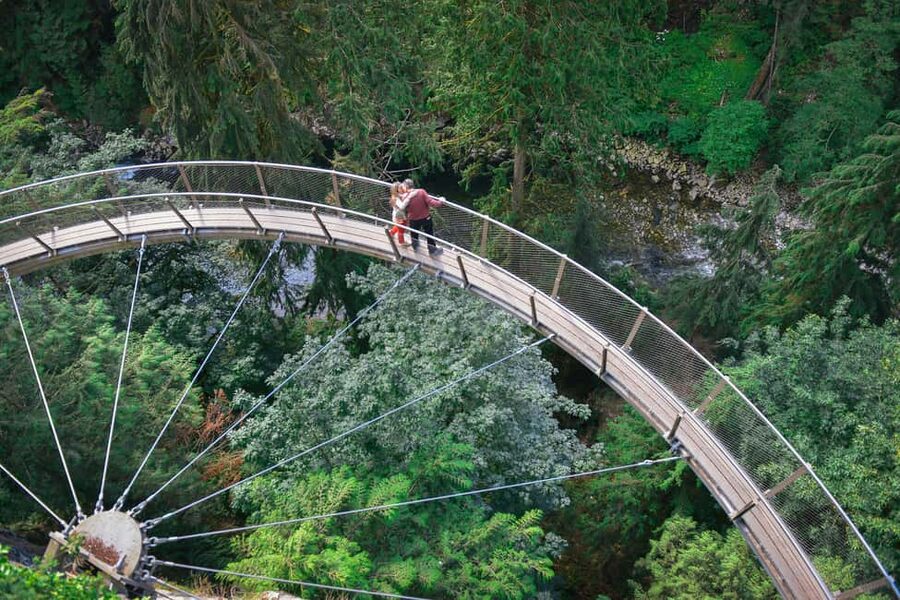 Vancouver Highlights: Capilano Bridge & Granville Island - The big-picture payoff: seeing Vancouver without the day-long churn