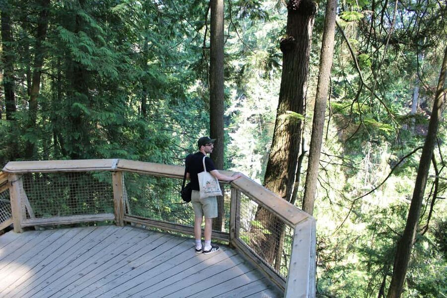 Vancouver Highlights: Capilano Bridge & Granville Island - Stanley Park by bus, then a forest pause