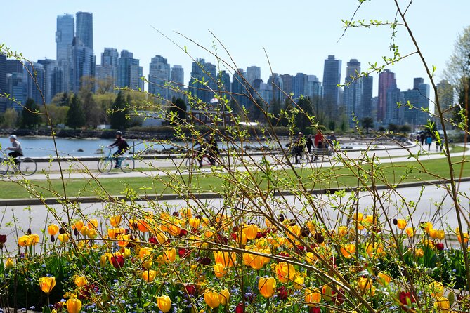 Vancouver Hop On Hop Off Trolley Tour - Where this trolley fits best (and who should skip it)