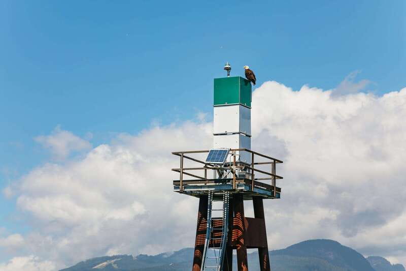 Vancouver: Indian Arm and Granite Falls Zodiac Boat Tour - Granite Falls Up Close, With Space for Photos