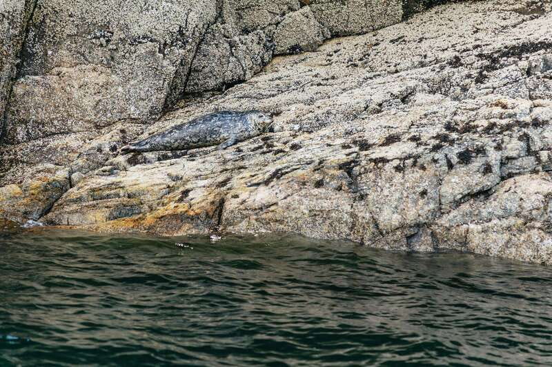 Vancouver: Indian Arm and Granite Falls Zodiac Boat Tour - Where You Start: Granville Island to the Harbor Scene