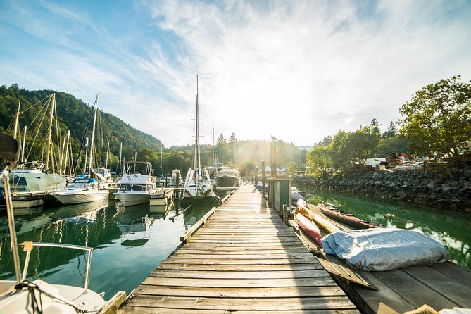 Vancouver Jetski Tour with Dinner on Bowen Island - Safety, Gear, and the Included One-Day Boater’s License