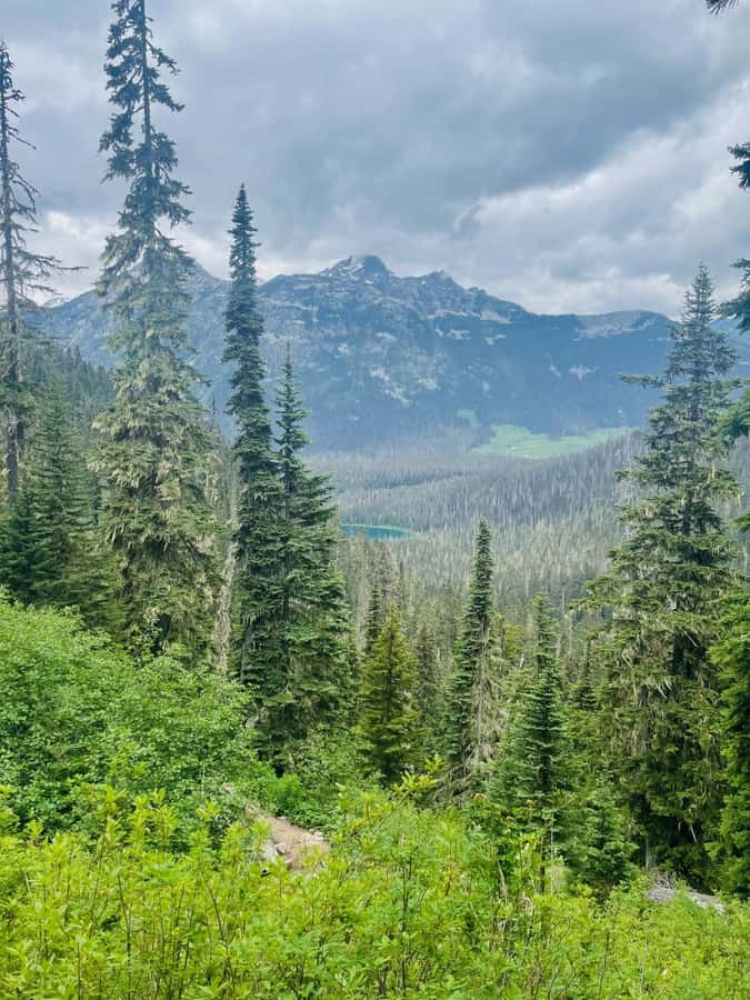 Vancouver: Joffre Lakes Park Hike and Whistler Day Trip - Price and value: what you’re paying for beyond the hike