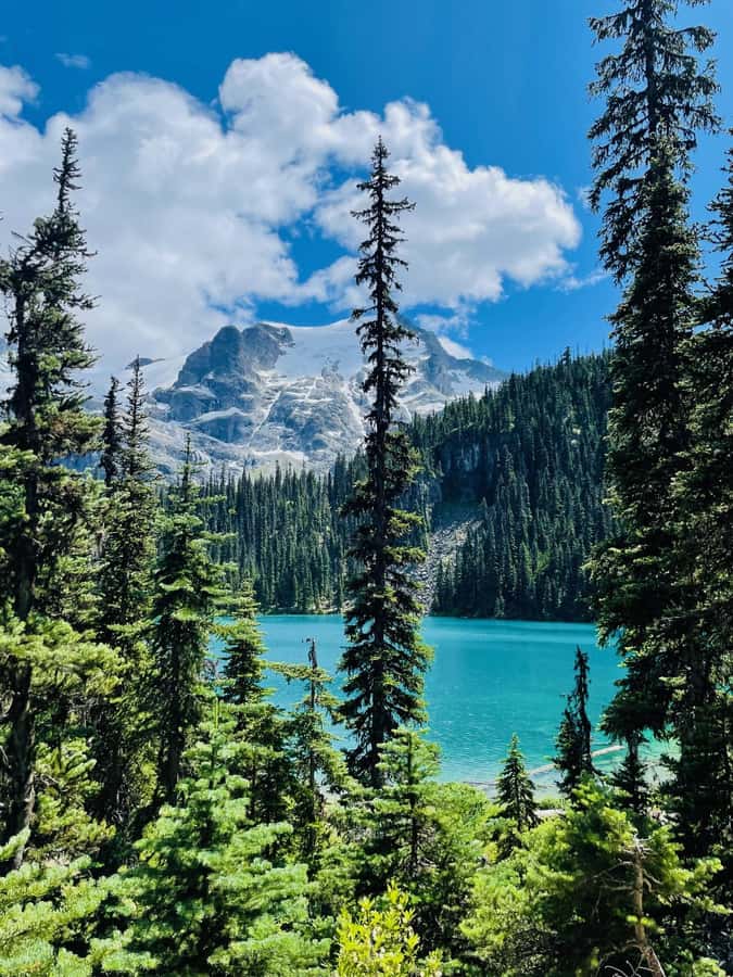Vancouver: Joffre Lakes Park Hike and Whistler Day Trip - Passes, timing, and what you should do before you arrive