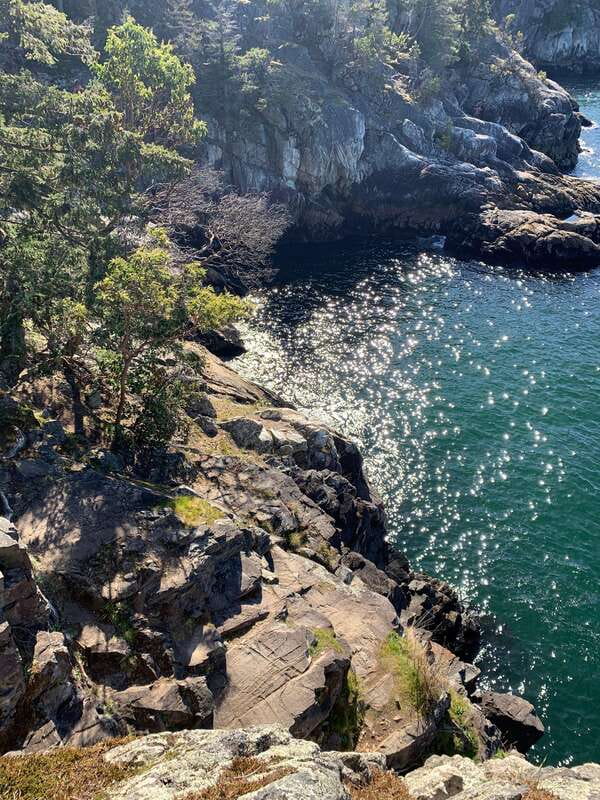 Vancouver: Lighthouse Park Hike - Key things about this Lighthouse Park hike (that I’d plan around)