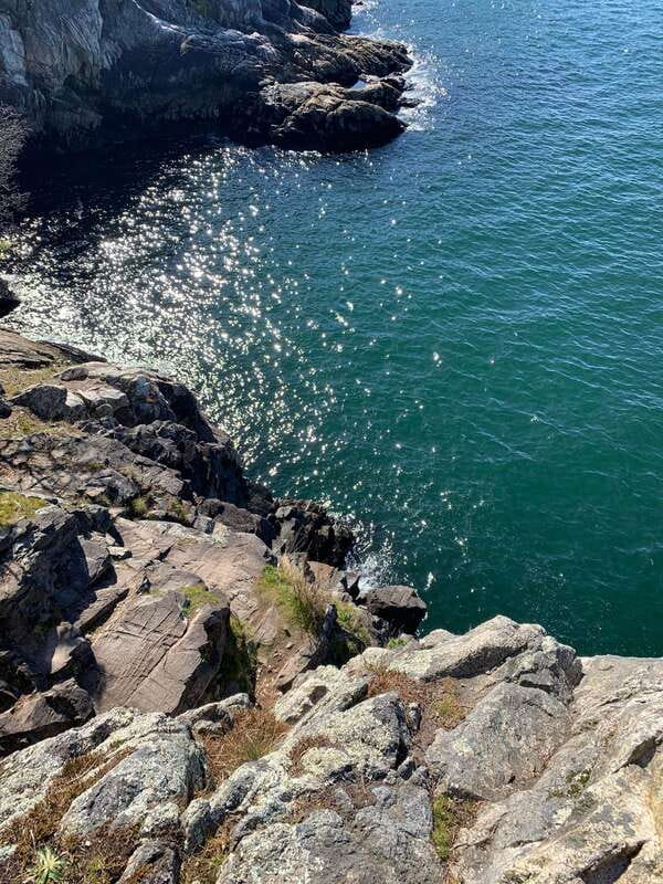 Vancouver: Lighthouse Park Hike - Door to door start: Vancouver pickup, then straight to the good views