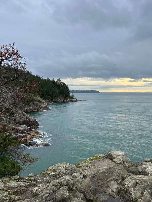 Vancouver: Lighthouse Park Hike - The guide experience: Adrian’s stories, pacing, and group vibe