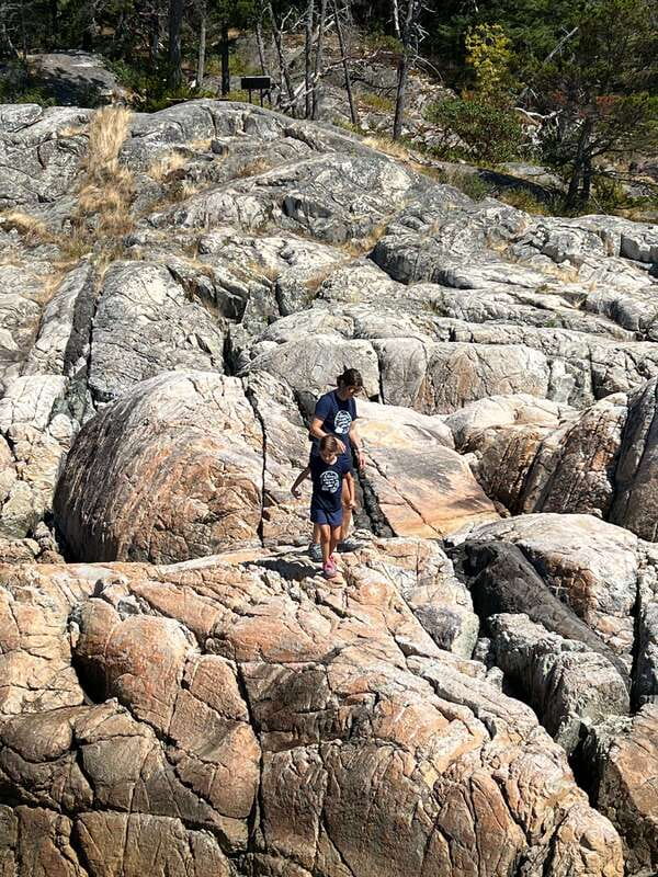 Vancouver: Lighthouse Park Hike - Water included, food not included: plan your energy the smart way