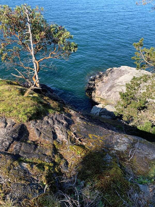 Vancouver: Lighthouse Park Hike - Crossing Lions Gate Bridge on the way to Lighthouse Park