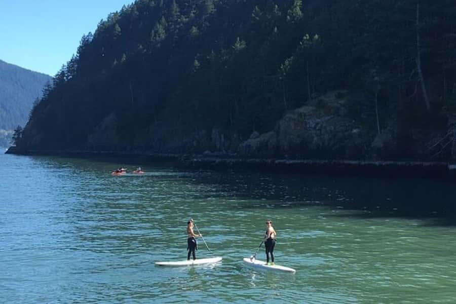 Vancouver: Morning Kayak & Seal Cruise - Quick take: what makes this cruise special