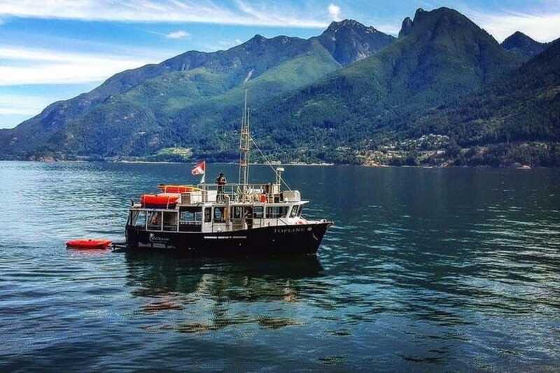 Vancouver: Morning Kayak & Seal Cruise - The paddle session: calm coastal water and mountain views