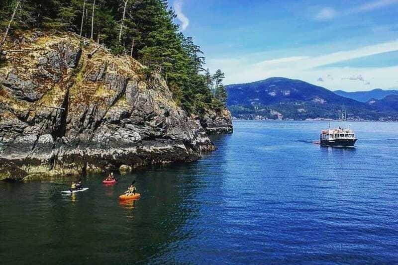 Vancouver: Morning Kayak & Seal Cruise - Seal spotting that can get very close