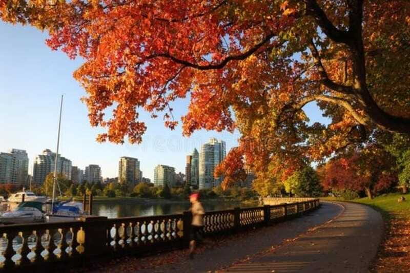 Vancouver : Must-See Attractions Walking Tour With A Guide - Canada Place: the simple payoff photo stop