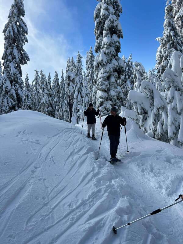 Vancouver: North Shore Mountains Snowshoeing with Transfer - Key Highlights Worth Prioritizing