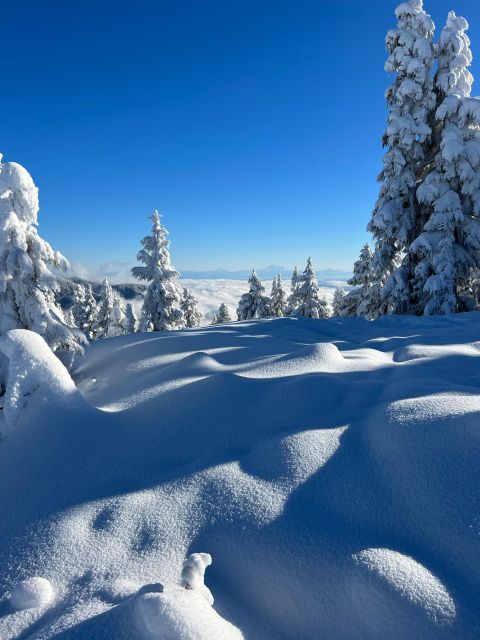 Vancouver: North Shore Mountains Snowshoeing with Transfer - Who This Tour Suits Best (And Who Should Skip It)