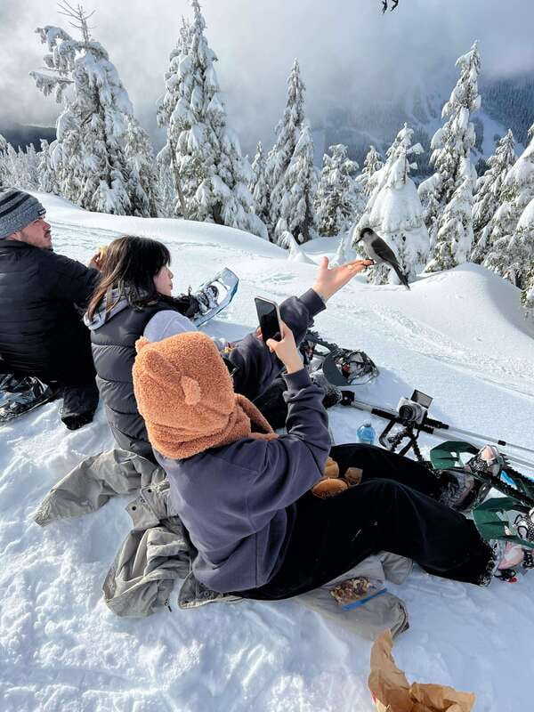 Vancouver: North Shore Mountains Snowshoeing with Transfer - North Shore Snowshoeing, Right When You Want It