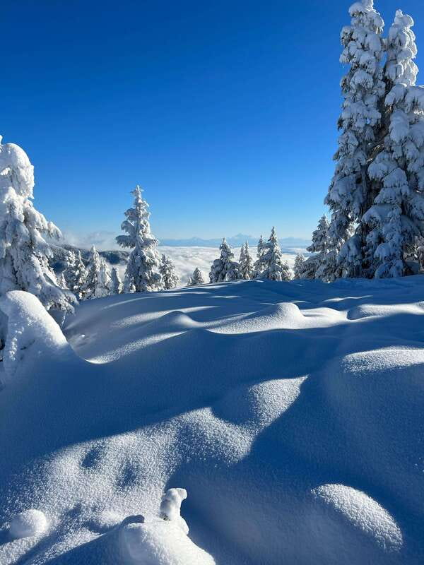 Vancouver: North Shore Mountains Snowshoeing with Transfer - The Guide Factor: Local Know How, Better Pacing